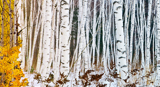 高端定制網(wǎng)站,創(chuàng)意H5定制,品牌營(yíng)銷(xiāo)年度,產(chǎn)品推廣營(yíng)銷(xiāo)